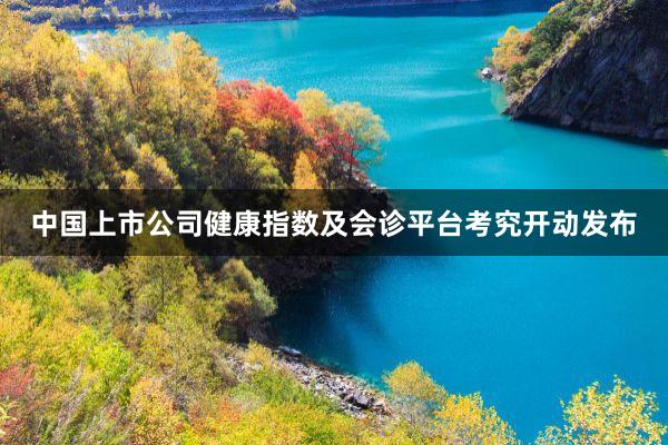 中国上市公司健康指数及会诊平台考究开动发布
