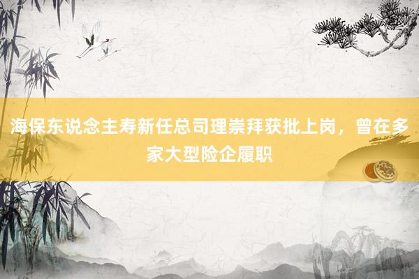 海保东说念主寿新任总司理崇拜获批上岗，曾在多家大型险企履职
