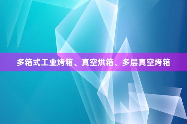 多箱式工业烤箱、真空烘箱、多层真空烤箱