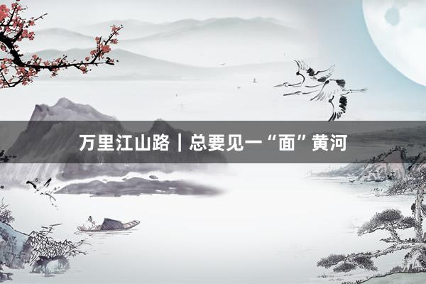 万里江山路｜总要见一“面”黄河