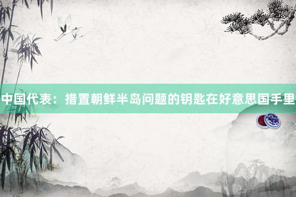 中国代表：措置朝鲜半岛问题的钥匙在好意思国手里