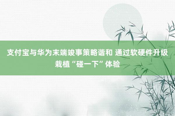 支付宝与华为末端竣事策略谐和 通过软硬件升级栽植“碰一下”体验