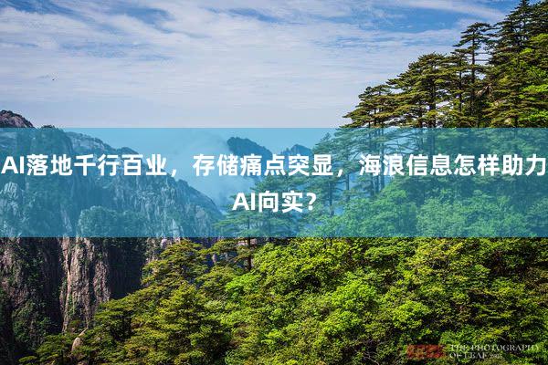AI落地千行百业，存储痛点突显，海浪信息怎样助力AI向实？