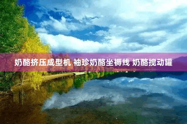 奶酪挤压成型机 袖珍奶酪坐褥线 奶酪搅动罐