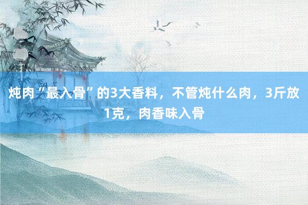 炖肉“最入骨”的3大香料，不管炖什么肉，3斤放1克，肉香味入骨