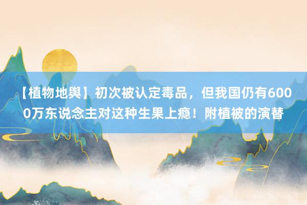 【植物地舆】初次被认定毒品，但我国仍有6000万东说念主对这种生果上瘾！附植被的演替