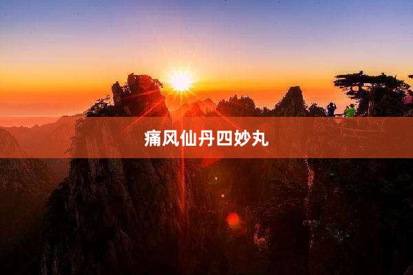痛风仙丹四妙丸