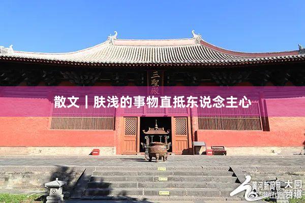 散文｜肤浅的事物直抵东说念主心