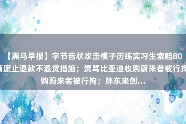 【黑马早报】字节告状攻击模子历练实习生索赔800万；快手电商废止退款不退货措施；责骂比亚迪收购蔚来者被行拘；胖东来创...