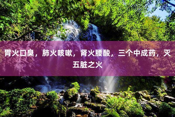 胃火口臭,肺火咳嗽,肾火腰酸,三个中成药,灭五脏之火