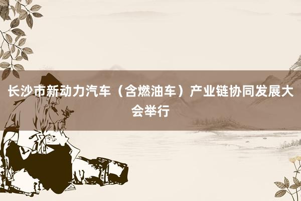 长沙市新动力汽车（含燃油车）产业链协同发展大会举行
