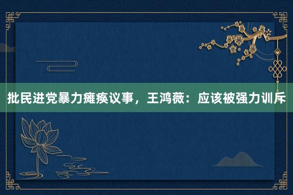 批民进党暴力瘫痪议事,王鸿薇:应该被强力训斥