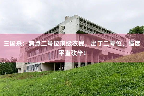 三国杀：清点二号位顶级农民，出了二号位，强度平直砍半！