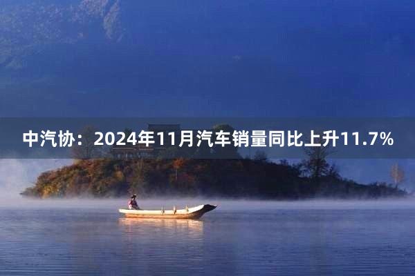 中汽协：2024年11月汽车销量同比上升11.7%