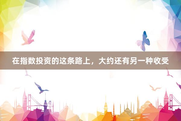 在指数投资的这条路上，大约还有另一种收受