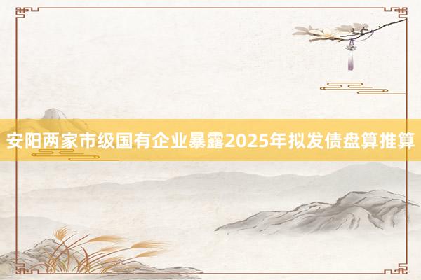 安阳两家市级国有企业暴露2025年拟发债盘算推算